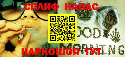 тгк Вязьма