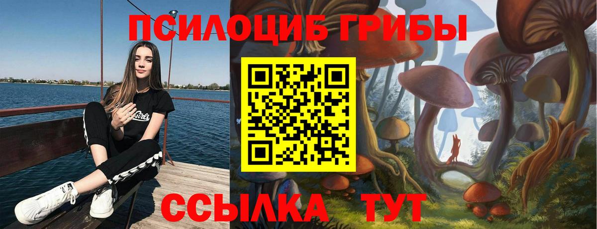 Брянск  Галлюциногенные грибы Psilocybine cubensis  Вход с VPN 
